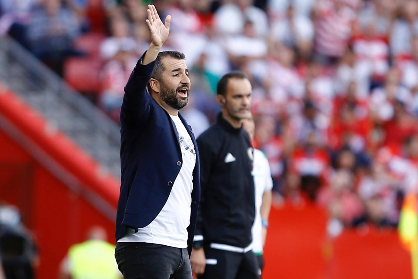 格拉纳达新赛季海外球员加盟，球队面貌焕然