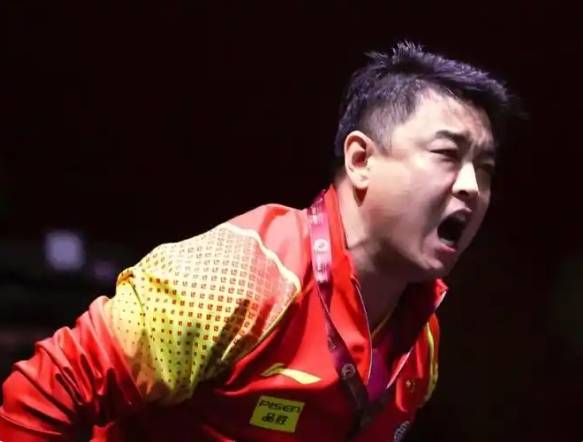 中国乒乓球队逆转波兰乒乓球队，王皓高光表现的简单介绍